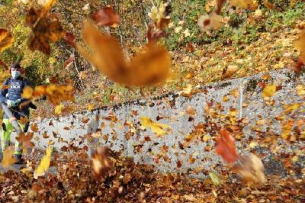 Bộ sưu tập video