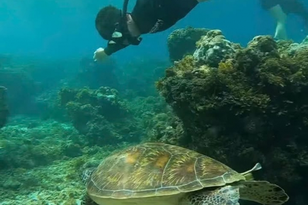 TOUR ĐẢO CEBU - PHILLIPINES