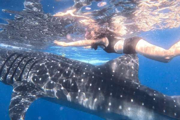 TOUR ĐẢO CEBU - PHILLIPINES