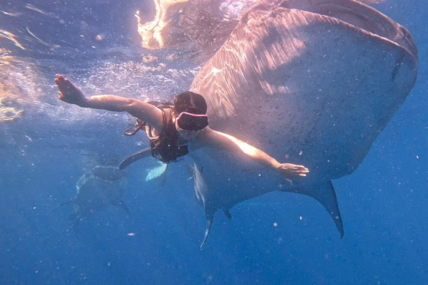 TOUR ĐẢO CEBU - PHILLIPINES