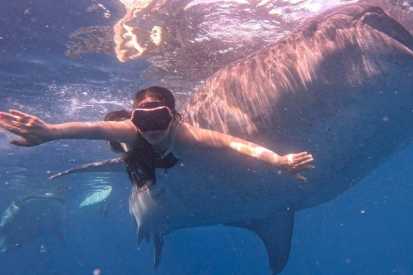 TOUR ĐẢO CEBU - PHILLIPINES