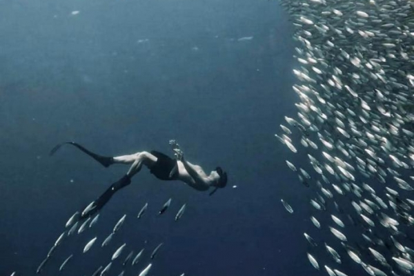 TOUR ĐẢO CEBU - PHILLIPINES