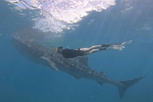 TOUR ĐẢO CEBU - PHILLIPINES