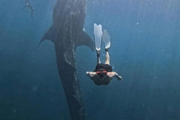 TOUR ĐẢO CEBU - PHILLIPINES